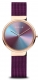 BERING ANNIVERSARY 10X31-ANNIVERSARY3