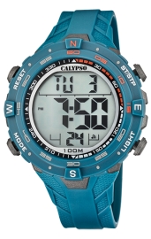 (2) Calypso Men\'s Watches