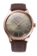ORIENT RA-AC0P04Y30B