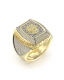 GUESS LION KING JUMR05002JWYG62