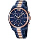 FESTINA F16857/1
