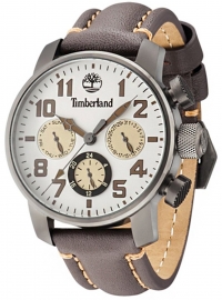 WATCH Timberland Mascoma II Beige / Brown Leat
