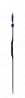 SWATCH SKIN BIG SKINNIGHT SVUN101