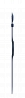 SWATCH SKIN BIG SKINNIGHT SVUN101