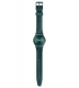SWATCH ASHBAYA GG407