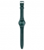 SWATCH ASHBAYA GG407