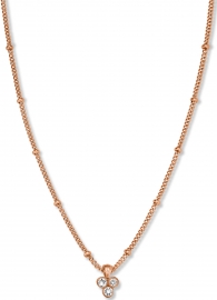 WATCH ROSEFIELD COLLAR JTNTRG-J443