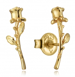 WATCH VICEROY JEWELS PENDIENTES 13004E100-30