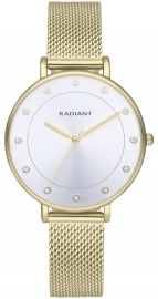 WATCH BOX 36MM SILVER DIAL IPG MESH