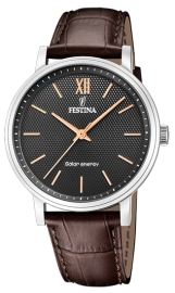 WATCH FESTINA F20660/6