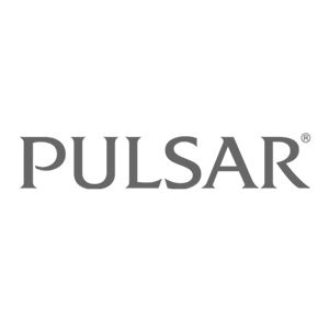 Pulsar Watches